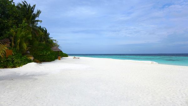 With love - the maldives 13