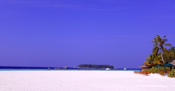 With love - the maldives 26