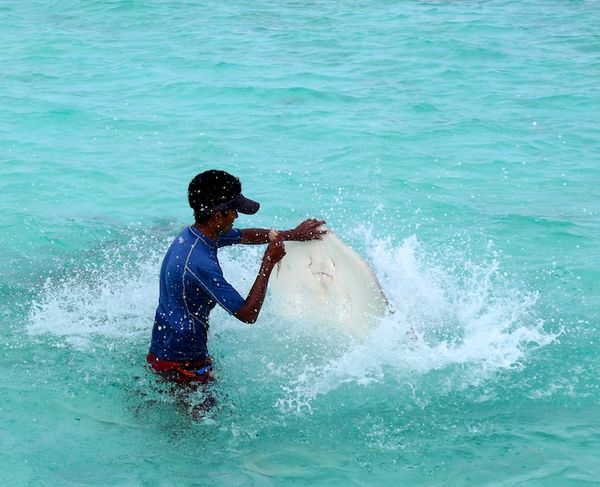 With love - the maldives