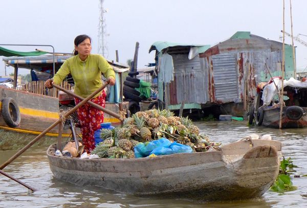 MeKong Delta 2014 31