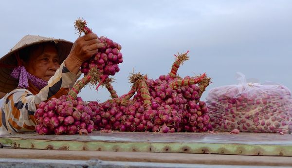MeKong Delta 2014 27