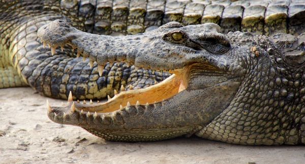 MeKong Delta 2014 76