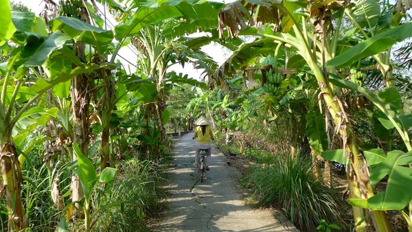 MeKong Delta 2014 77