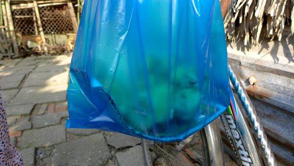 MeKong Delta 2014 79