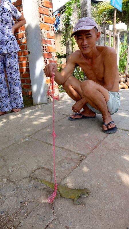 MeKong Delta 2014 96