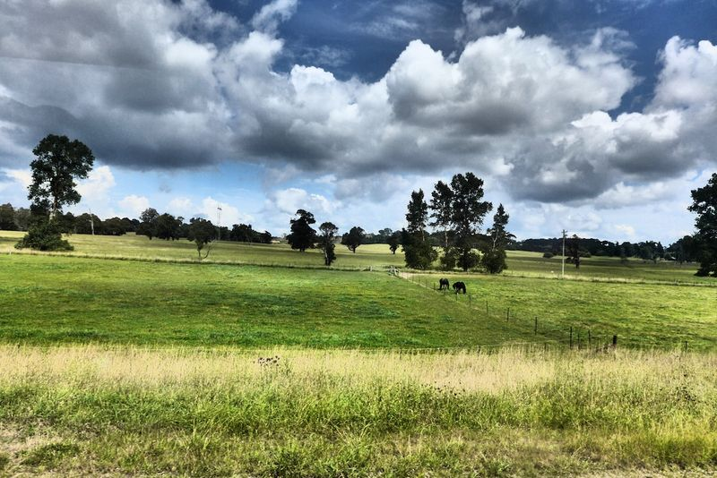 Sydney 2015 17 Sydney 2015 17