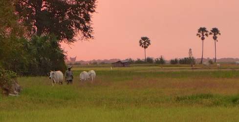 Cambodia girls trip 74 Cambodia girls trip 74