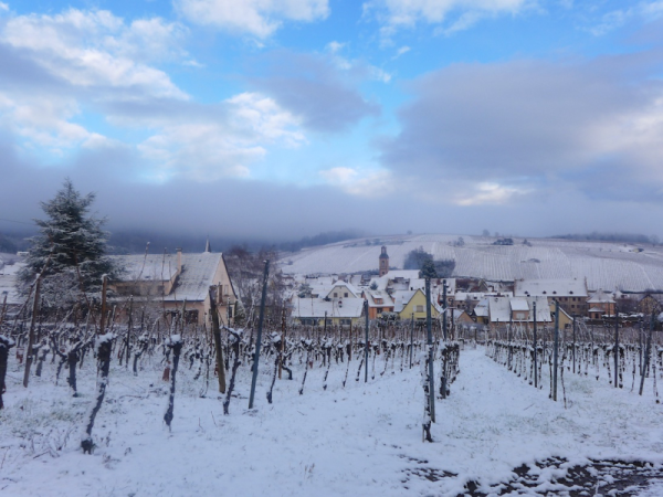 Alsace Christmas 50 Alsace Christmas 50